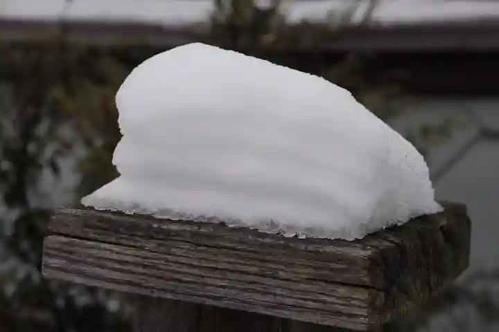 大鏑神社の自然