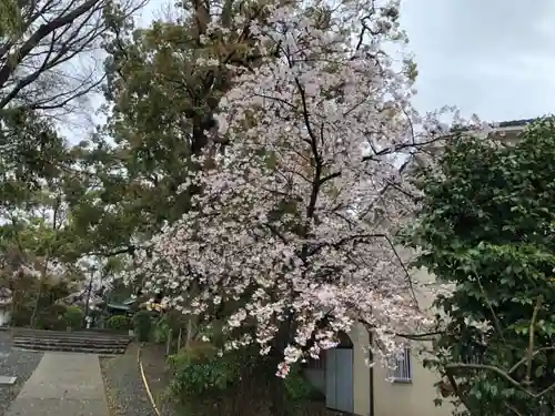 神足神社のその他建物