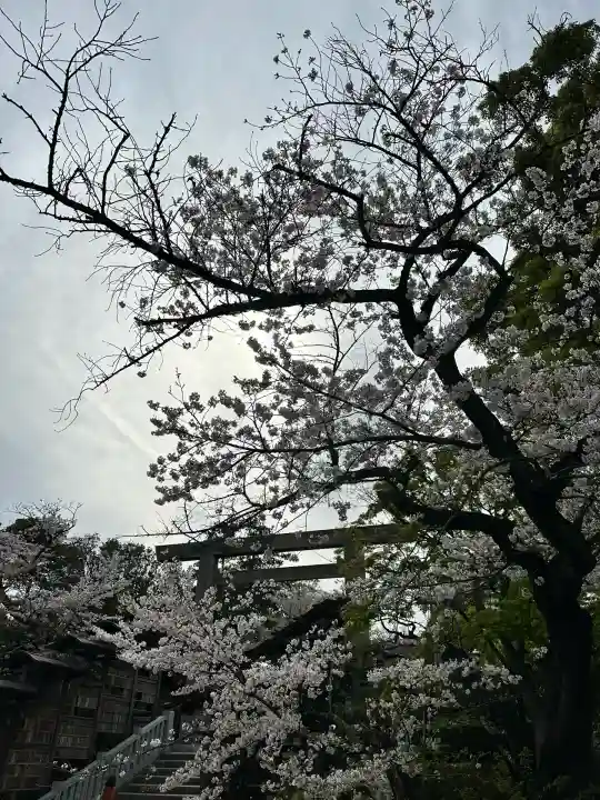伊勢山皇大神宮(神奈川県)