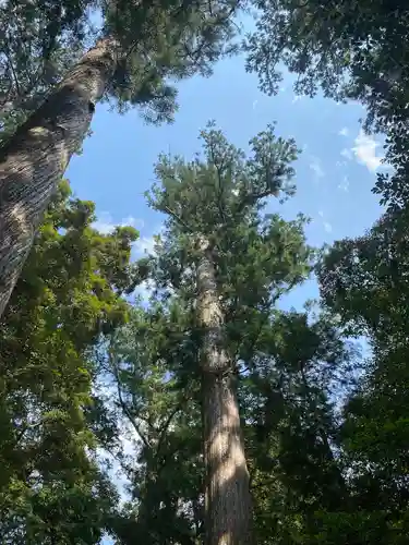 瀧原宮(皇大神宮別宮)の自然