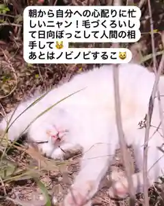 専念寺(大阪府)(2022年11月13日(日) 18時47分34秒投稿)