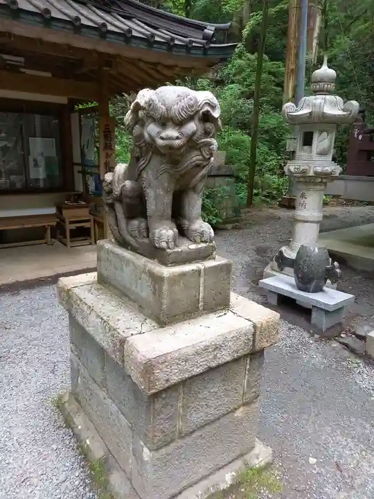 最乗寺(道了尊)の狛犬