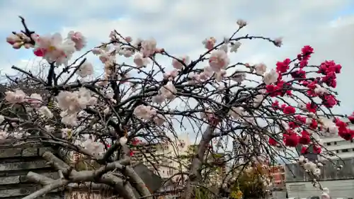 大乗寺(静岡県)