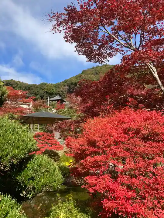 三室戸寺(京都府)