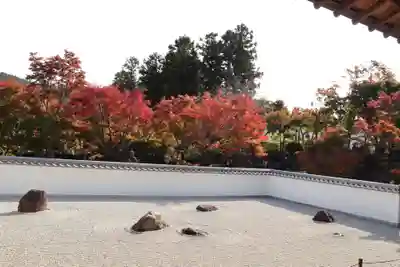 宝徳寺(群馬県)