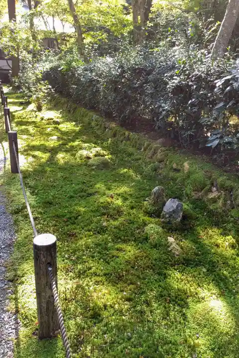 地蔵院(京都府)