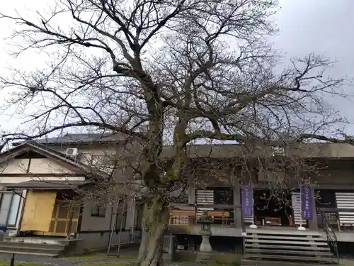妙経寺(福井県)