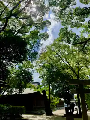 筥崎宮(福岡県)