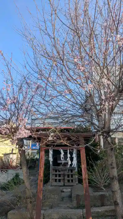 白山神社の{uncategorized: "未分類", other: "その他", undefined: "問題あり", building: "その他建物", grave: "お墓", sacred_gate: "鳥居", guardian: "狛犬", statue: "像", buddha: "仏像", history: "歴史", nature: "自然", garden: "庭園", animal: "動物", pagoda: "塔", temizu: "手水舎", mountain_gate: "山門・神門", sanctuary: "本殿・本堂", subordinate: "末社・摂社", art: "芸術", scenery: "景色", jizo: "地蔵", ema: "絵馬", goshuin: "御朱印", omikuji: "おみくじ", items: "授与品その他", amulet: "お守り", goshuincho: "御朱印帳", eats: "食事", festival: "お祭り", votive_dance: "神楽", shichigosan: "七五三参", wedding: "結婚式", experience: "体験その他", initially: "初詣", around: "周辺", anti_infection: "感染症対策"}
