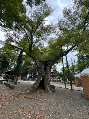 武水別神社(長野県)