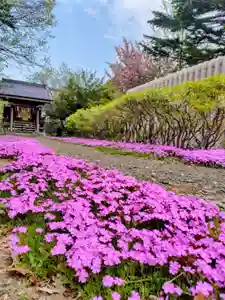 厚別神社(北海道)(2026年05月17日(日) 15時14分27秒投稿)