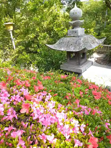 阿智神社の建物その他