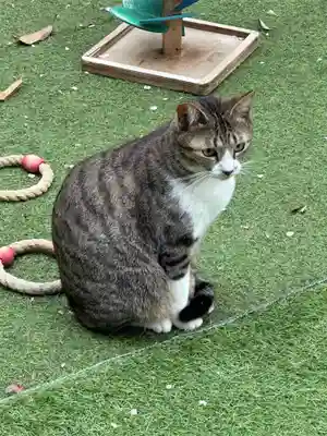 王子神社(徳島県)