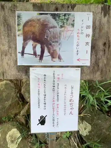 坪沼八幡神社(宮城県)