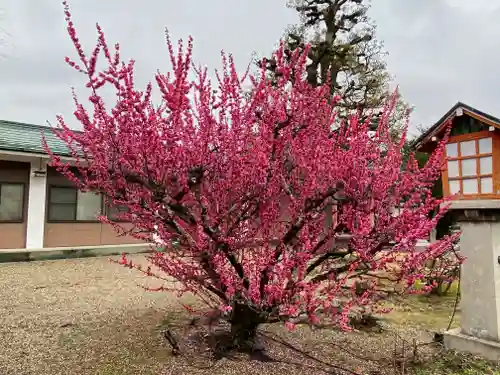 霊山観音(京都府)