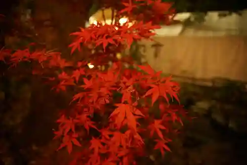 秩父神社の自然