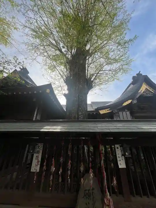 麻賀多神社(千葉県)