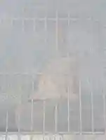 壺川神社(御嶽)(沖縄県)