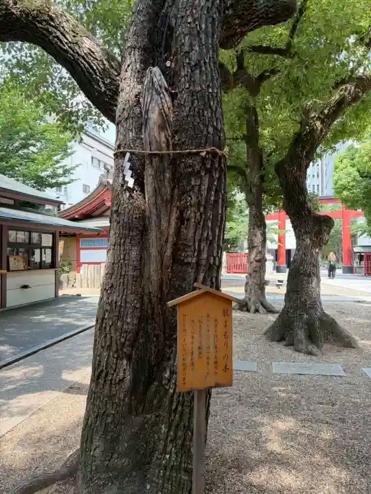 御霊神社(大阪府)
