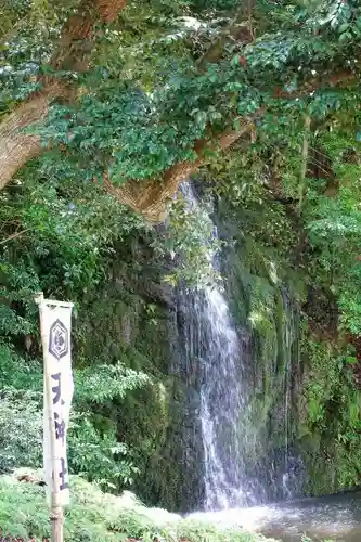 出雲大社北島国造館 出雲教の自然