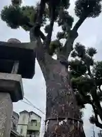 長曽根神社の自然