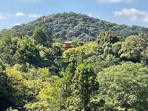 清水寺(京都府)