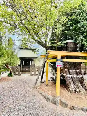 常陸二ノ宮　静神社の{uncategorized: "未分類", other: "その他", undefined: "問題あり", building: "その他建物", grave: "お墓", sacred_gate: "鳥居", guardian: "狛犬", statue: "像", buddha: "仏像", history: "歴史", nature: "自然", garden: "庭園", animal: "動物", pagoda: "塔", temizu: "手水舎", mountain_gate: "山門・神門", sanctuary: "本殿・本堂", subordinate: "末社・摂社", art: "芸術", scenery: "景色", jizo: "地蔵", ema: "絵馬", goshuin: "御朱印", omikuji: "おみくじ", items: "授与品その他", amulet: "お守り", goshuincho: "御朱印帳", eats: "食事", festival: "お祭り", votive_dance: "神楽", shichigosan: "七五三参", wedding: "結婚式", experience: "体験その他", initially: "初詣", around: "周辺", anti_infection: "感染症対策"}