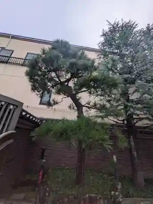 祝言寺(東京都)