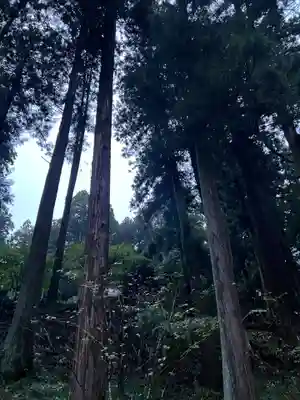 大宮温泉神社(栃木県)