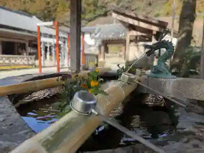 千如寺大悲王院の{uncategorized: "未分類", other: "その他", undefined: "問題あり", building: "その他建物", grave: "お墓", sacred_gate: "鳥居", guardian: "狛犬", statue: "像", buddha: "仏像", history: "歴史", nature: "自然", garden: "庭園", animal: "動物", pagoda: "塔", temizu: "手水舎", mountain_gate: "山門・神門", sanctuary: "本殿・本堂", subordinate: "末社・摂社", art: "芸術", scenery: "景色", jizo: "地蔵", ema: "絵馬", goshuin: "御朱印", omikuji: "おみくじ", items: "授与品その他", amulet: "お守り", goshuincho: "御朱印帳", eats: "食事", festival: "お祭り", votive_dance: "神楽", shichigosan: "七五三参", wedding: "結婚式", experience: "体験その他", initially: "初詣", around: "周辺", anti_infection: "感染症対策"}