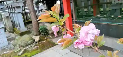 くまくま神社(導きの社 熊野町熊野神社)の自然