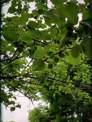 新宿下落合氷川神社(東京都)