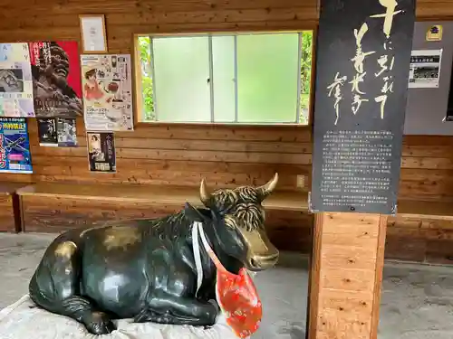 善光寺の狛犬