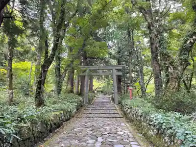 大神山神社奥宮の鳥居