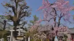 安楽寺天満宮の建物その他