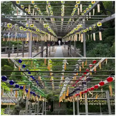 正寿院(京都府)