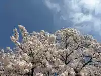 神明社の{uncategorized: "未分類", other: "その他", undefined: "問題あり", building: "その他建物", grave: "お墓", sacred_gate: "鳥居", guardian: "狛犬", statue: "像", buddha: "仏像", history: "歴史", nature: "自然", garden: "庭園", animal: "動物", pagoda: "塔", temizu: "手水舎", mountain_gate: "山門・神門", sanctuary: "本殿・本堂", subordinate: "末社・摂社", art: "芸術", scenery: "景色", jizo: "地蔵", ema: "絵馬", goshuin: "御朱印", omikuji: "おみくじ", items: "授与品その他", amulet: "お守り", goshuincho: "御朱印帳", eats: "食事", festival: "お祭り", votive_dance: "神楽", shichigosan: "七五三参", wedding: "結婚式", experience: "体験その他", initially: "初詣", around: "周辺", anti_infection: "感染症対策"}