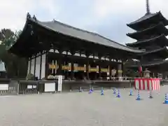 興福寺の本殿