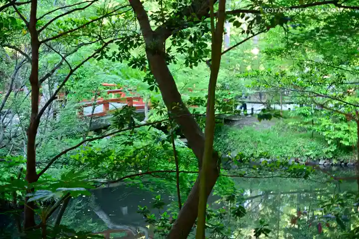 鶴岡八幡宮の庭園