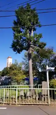 庚申神社(千葉県)