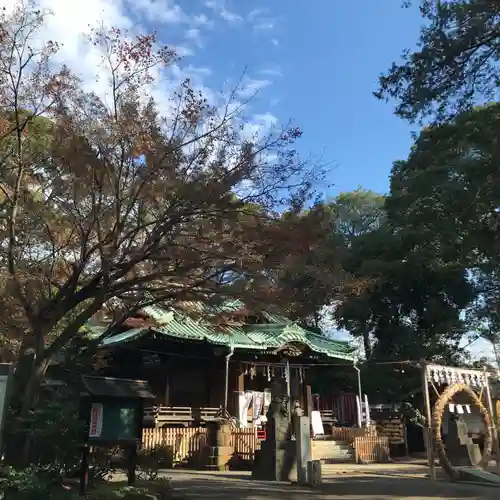 代々木八幡宮の本殿・本堂