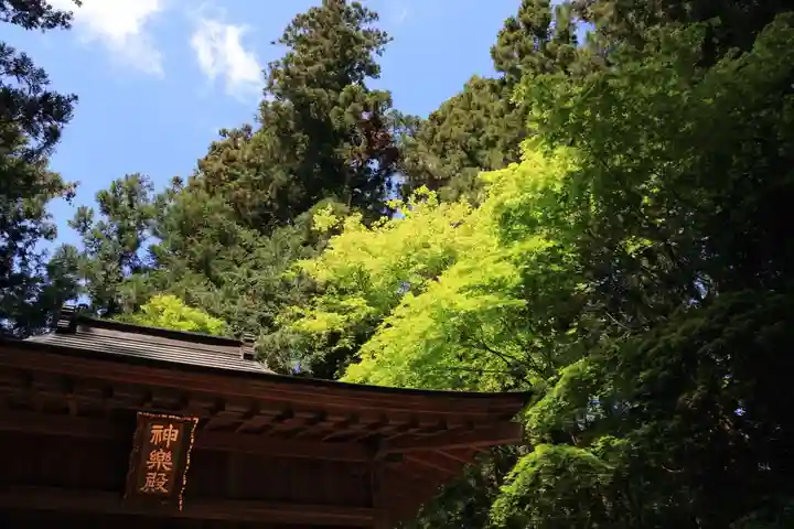 鹿島大神宮の自然
