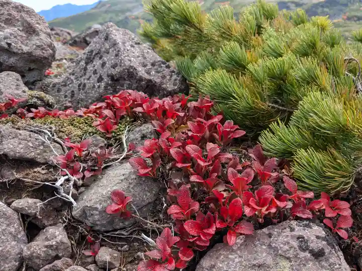祠(大雪神社奥の院)(北海道)