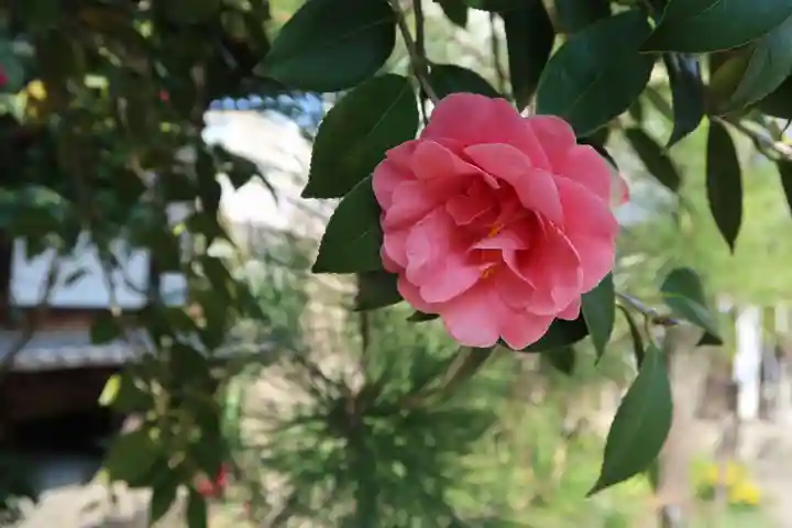 伝香寺(奈良県)