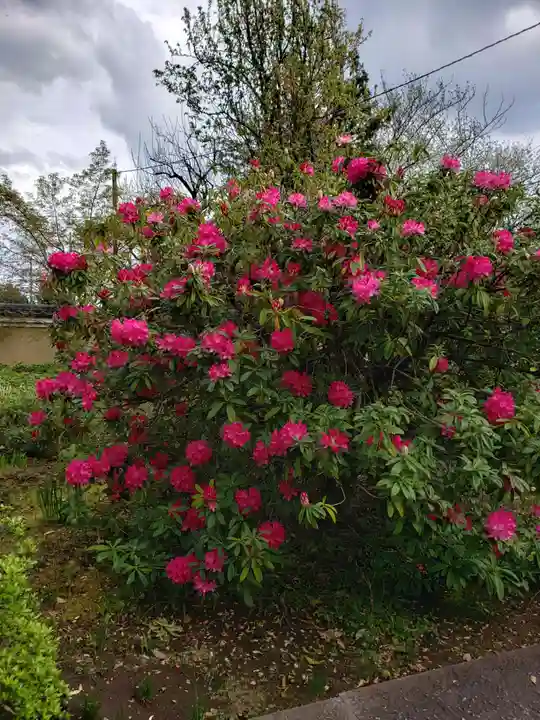 福蔵院(東京都)