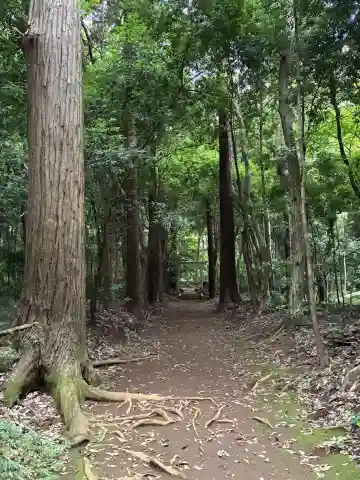 白幡神社(千葉県)