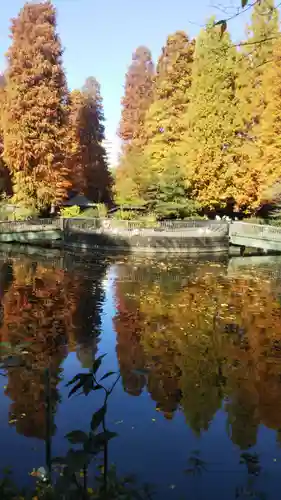 井の頭弁財天（大盛寺）の景色