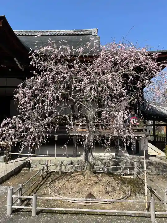 天龍寺(京都府)