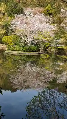龍安寺(京都府)