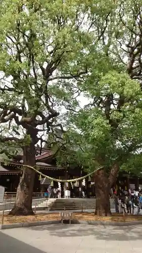 明治神宮(東京都)